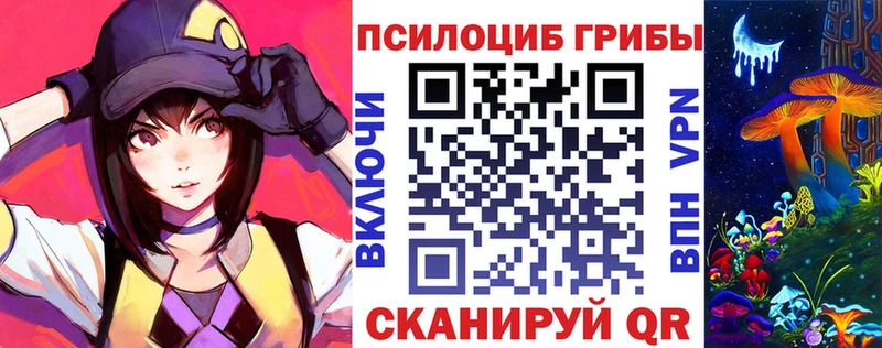 Галлюциногенные грибы Psilocybe  Волхов 