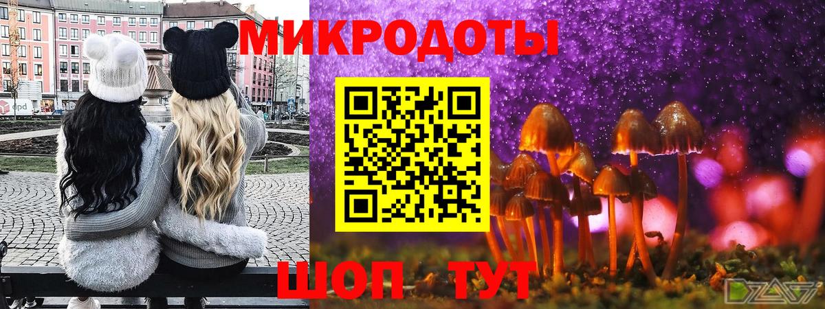 Волхов  Галлюциногенные грибы Psilocybe  Вход с VPN 