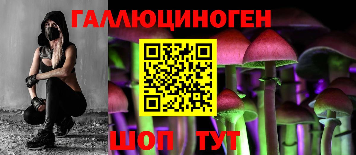 Волхов  МДМА  Гашиш  Меф МЯУ МЯУ кристаллы  Вход с VPN  Мефедрон  Конопля  A PVP СК  